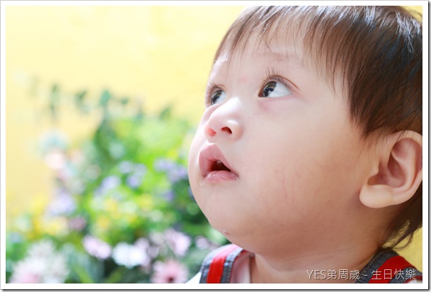 JiaJing_0064 JiaJing_0064