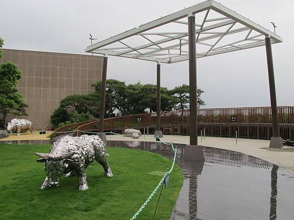 IMG_6192 IMG_6192