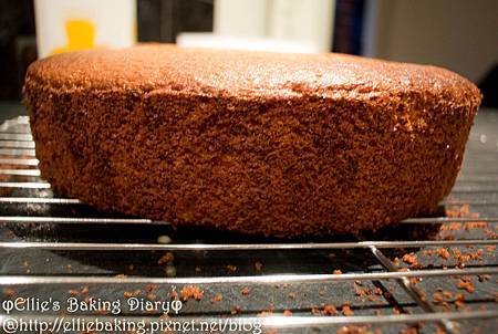全蛋海綿蛋糕_香蕉2.jpg