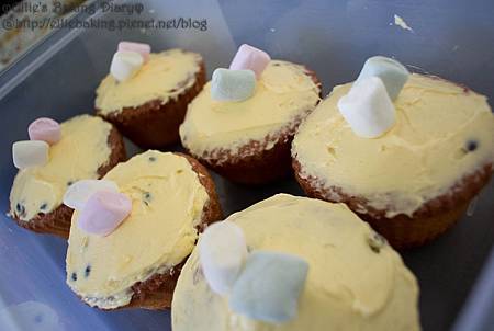 Orange Sponge Cake3.jpg