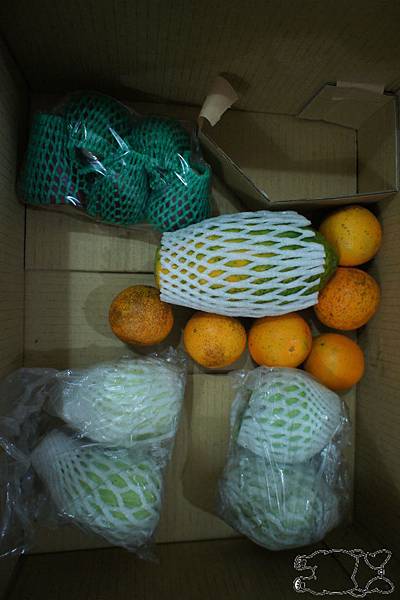 DSC04892.JPG DSC04892.JPG