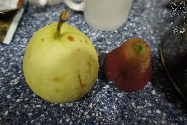 DSC04901.JPG DSC04901.JPG