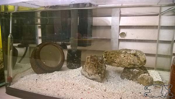 WP_20140903_010 WP_20140903_010