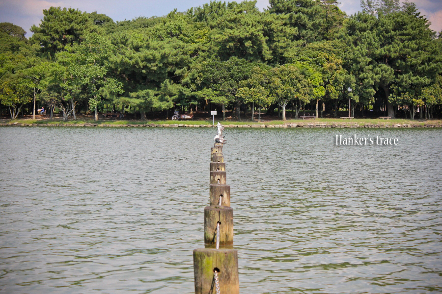 IMG_5912 拷貝 IMG_5912 拷貝