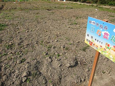 20101222_我們抽到了新竹市政府開心農場A11~ 20101222_我們抽到了新竹市政府開心農場A11~