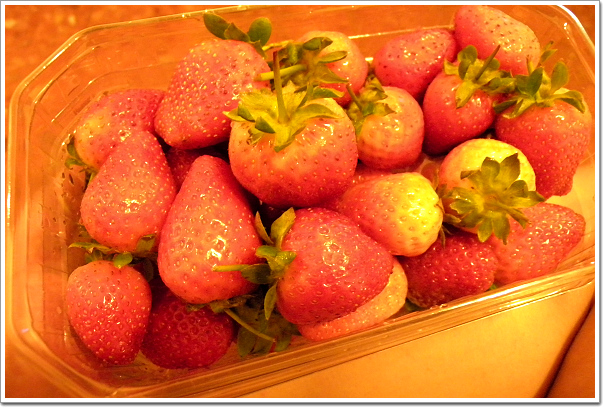 DSCN0392.jpg DSCN0392.jpg