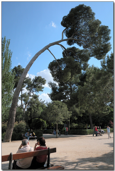 DSCN1452.jpg DSCN1452.jpg