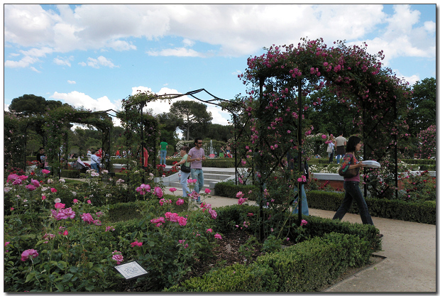 DSCN1465.jpg DSCN1465.jpg