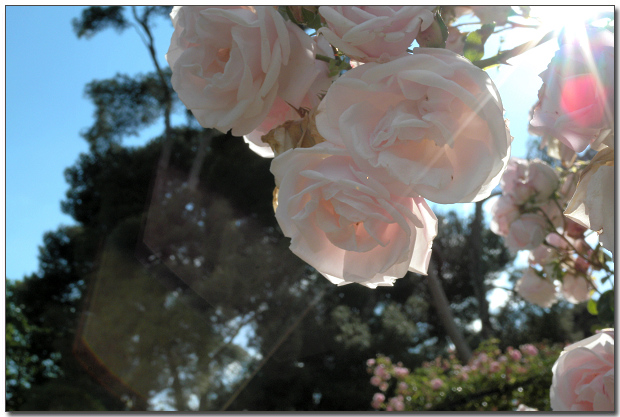 DSCN1469.jpg DSCN1469.jpg