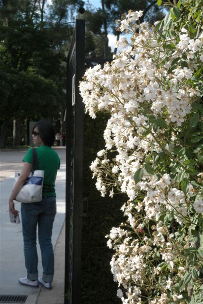 DSCN1476.jpg DSCN1476.jpg