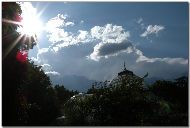 DSCN1481.jpg DSCN1481.jpg