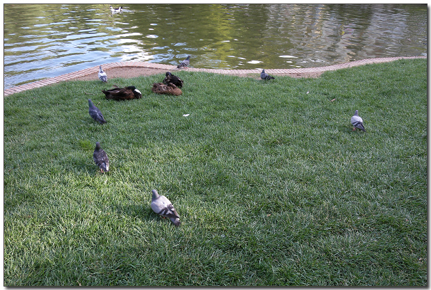 DSCN1508.jpg DSCN1508.jpg