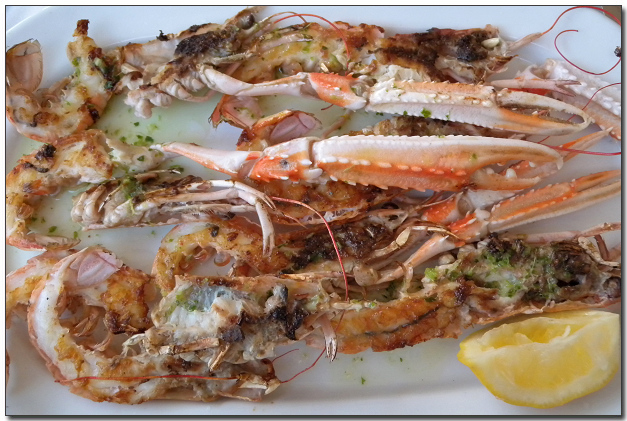 DSCN1726.jpg DSCN1726.jpg