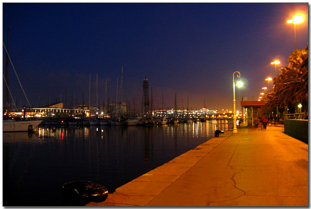 IMG_3474.jpg IMG_3474.jpg