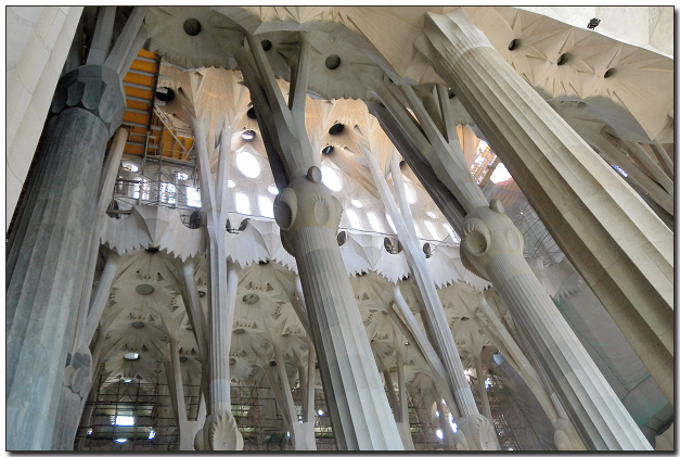 DSCN1763.jpg DSCN1763.jpg