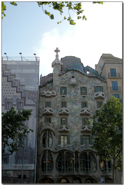 DSCN1878.jpg DSCN1878.jpg