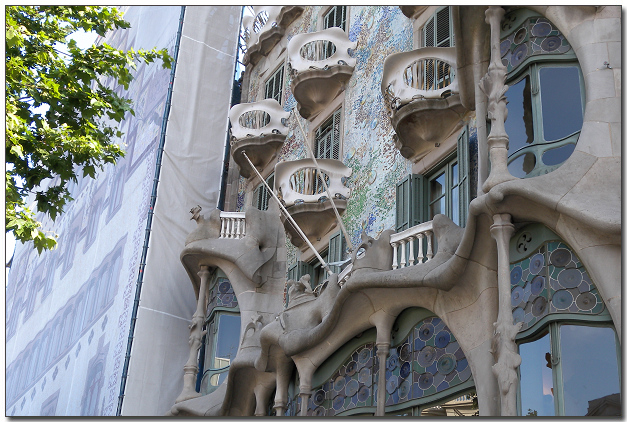 DSCN1880.jpg DSCN1880.jpg