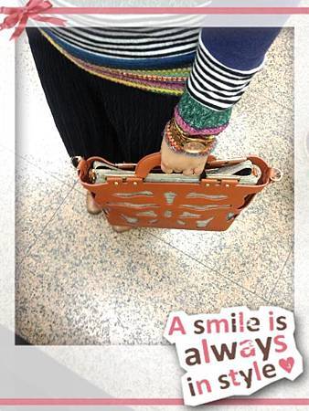 600838_738116036204564_700846413_n