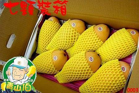 金煌芒果七顆裝.JPG