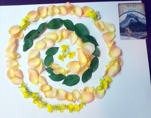 0axlSbSy_mjzJijk0JKTmw