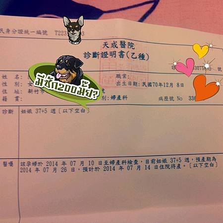 2014-07-11 11.53.44.jpg