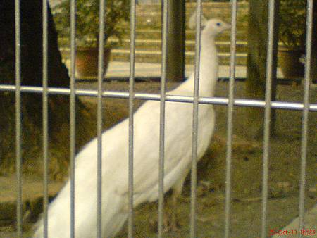 DSC01635.JPG DSC01635.JPG