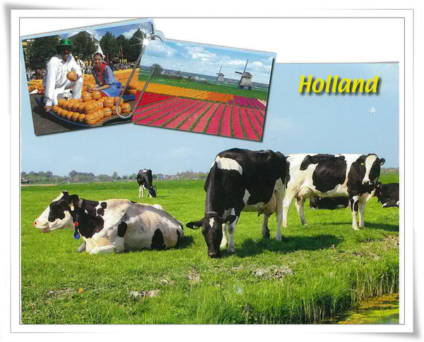 holland.jpg