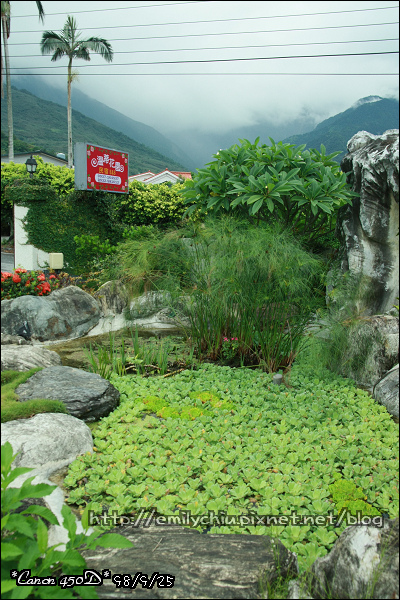 IMG_8294.jpg IMG_8294.jpg