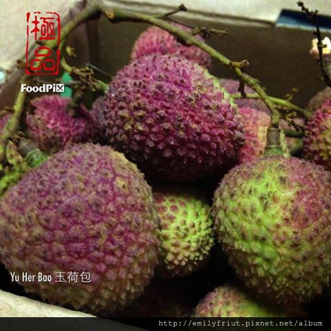 970922_335976656505054_2097429335_n