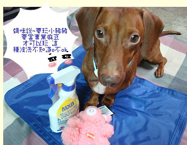 玩1.JPG 玩1.JPG
