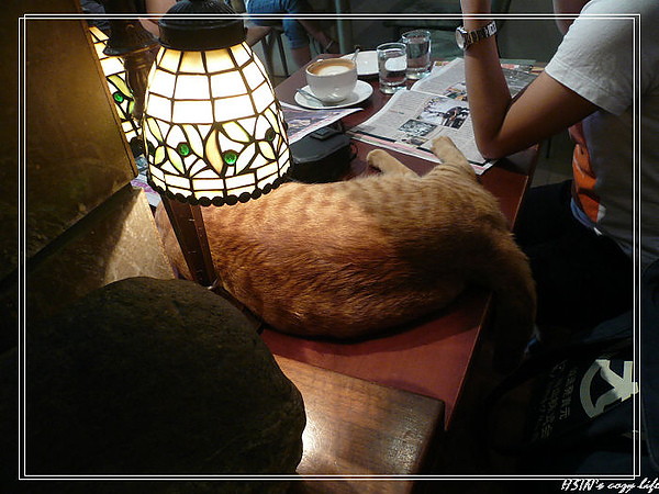 P1010761_nEO_IMG.jpg P1010761_nEO_IMG.jpg