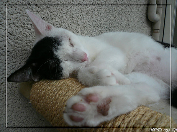 P1010774_nEO_IMG.jpg P1010774_nEO_IMG.jpg