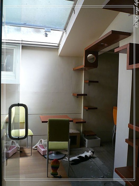 P1010756_nEO_IMG.jpg P1010756_nEO_IMG.jpg