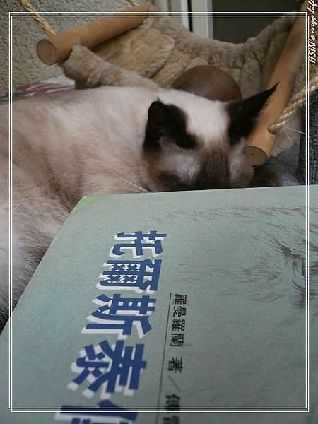 P1010773_nEO_IMG.jpg P1010773_nEO_IMG.jpg