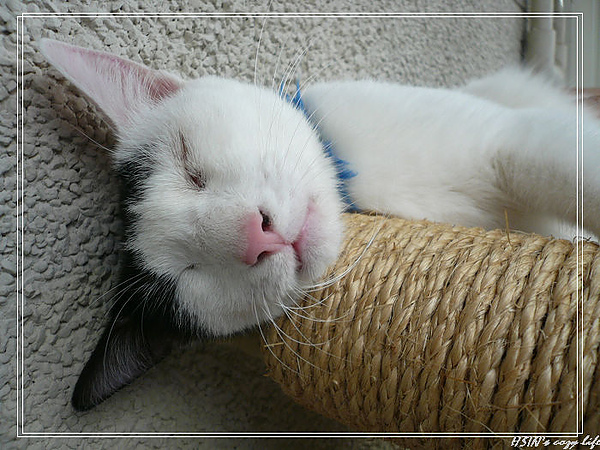 P1010775_nEO_IMG.jpg P1010775_nEO_IMG.jpg