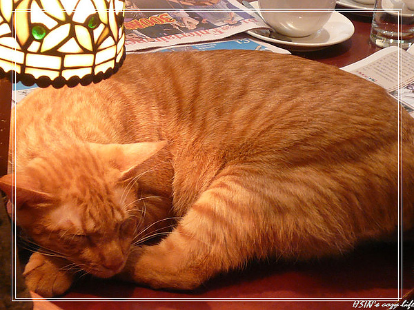 P1010767_nEO_IMG.jpg P1010767_nEO_IMG.jpg