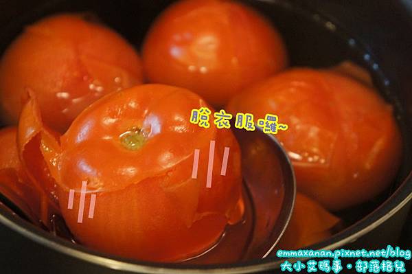 綜合! 冰磚! 綜合! 冰磚!