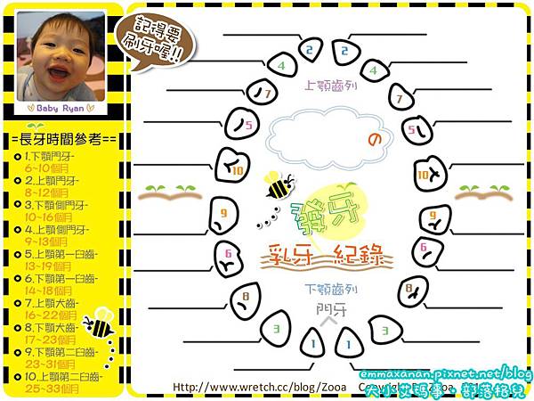 發牙紀錄表 發牙紀錄表