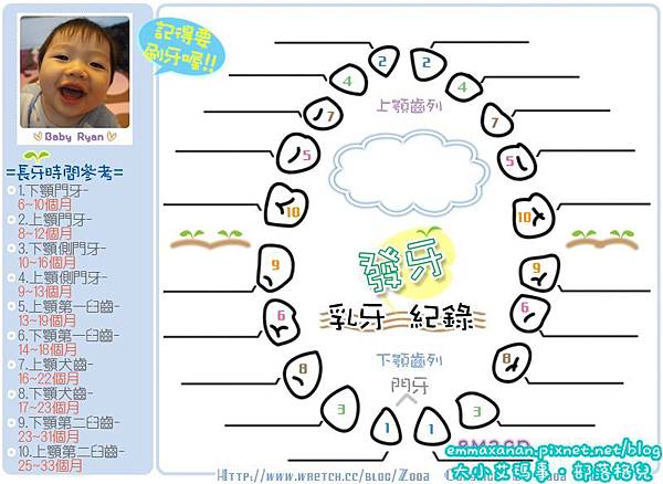 發牙紀錄表 發牙紀錄表