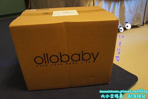 [邀約體驗] wallaboo 功夫背帶