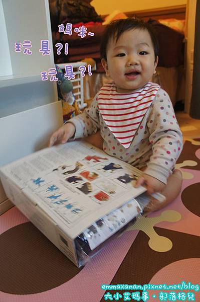 [邀約體驗] wallaboo 功夫背帶