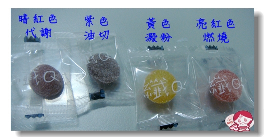 DSC03113.JPG DSC03113.JPG