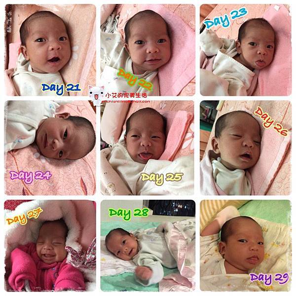 10934422_790378144332195_2135885935_n