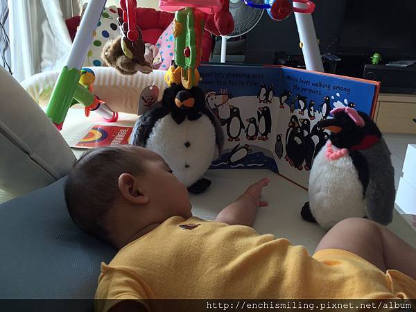 11182860_838371016199574_1813211195_o 11182860_838371016199574_1813211195_o