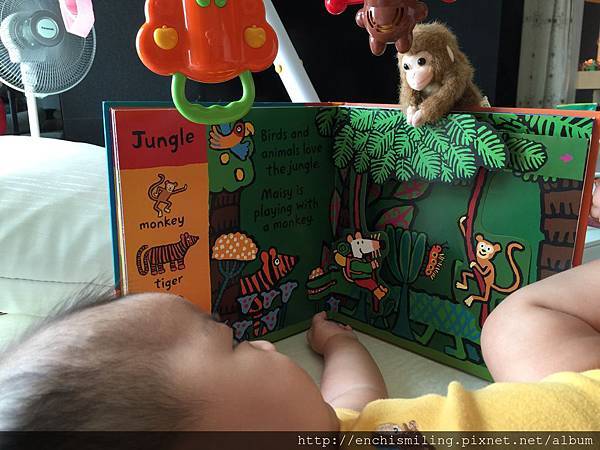 11187987_838371169532892_649893898_o 11187987_838371169532892_649893898_o