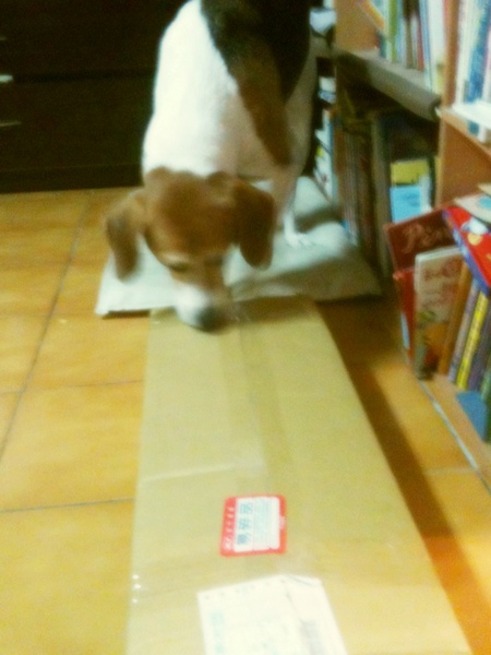 IMG_0342.JPG IMG_0342.JPG