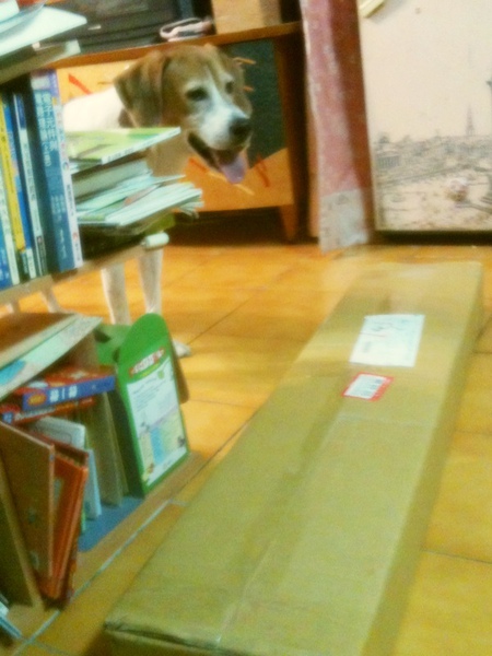 IMG_0340.JPG IMG_0340.JPG