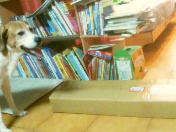 IMG_0341.JPG IMG_0341.JPG