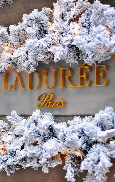 圖片 1.png 圖片 1.png