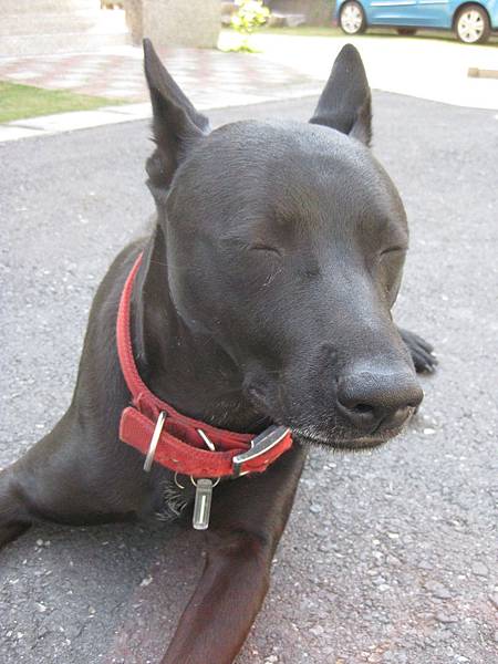 20110424-004.JPG 20110424-004.JPG